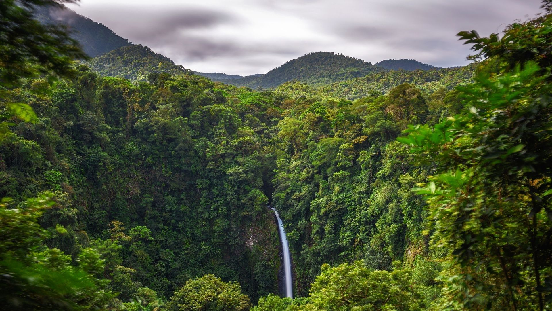 Arenal