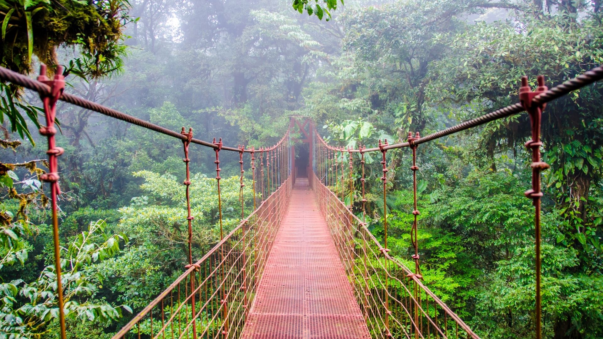 Arenal - Monteverde (1/2)