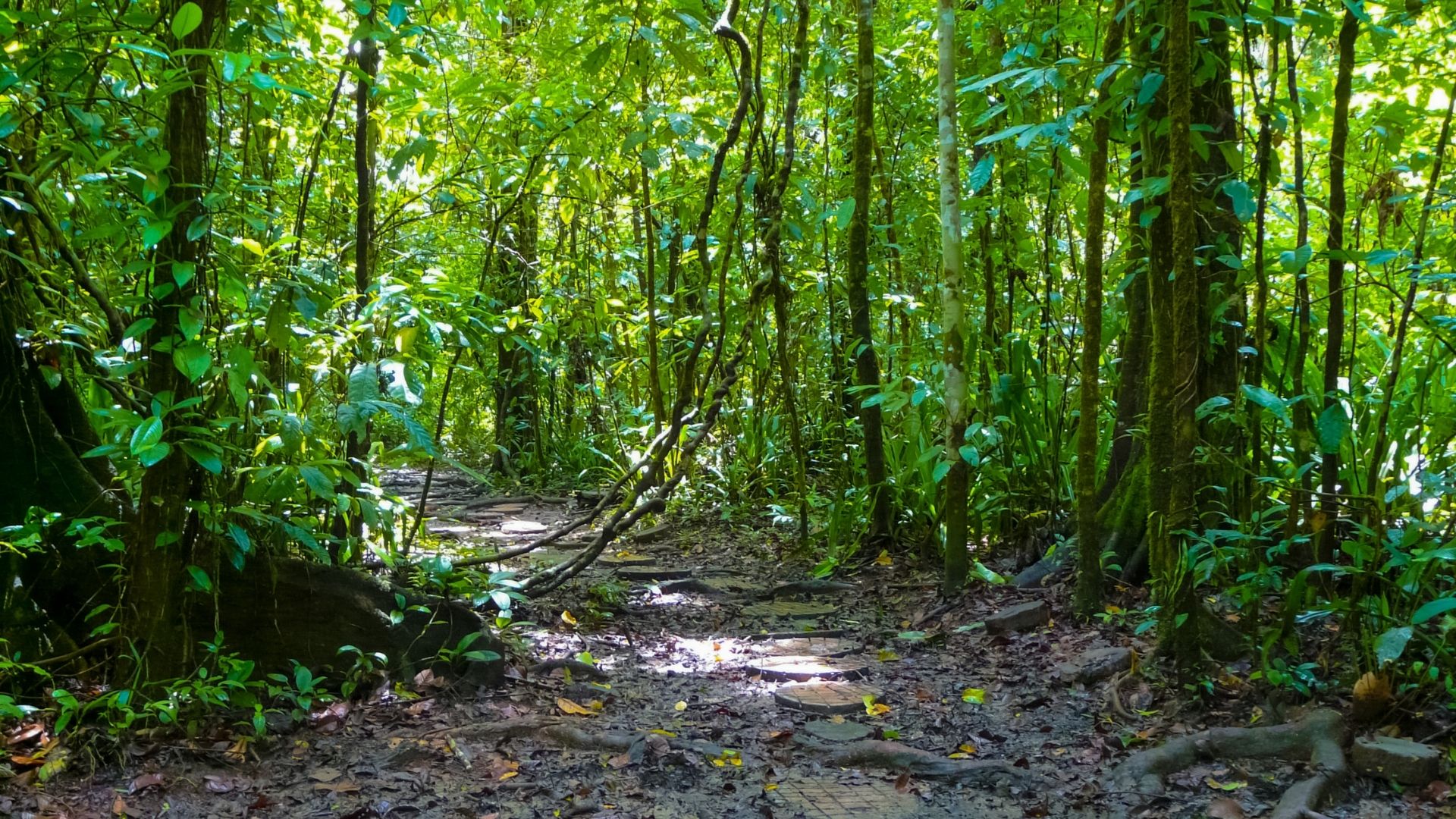 Parque Nacional Corcovado