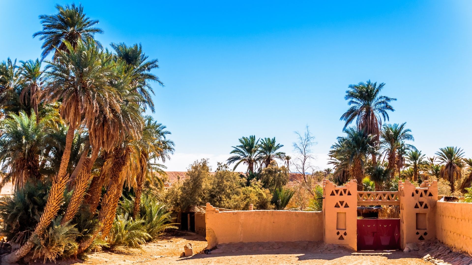 Ouarzazate – Anti Atlas – Valle del Draa – Nkob – Alnif – Rissani – Merzouga (Desierto) (2/3)