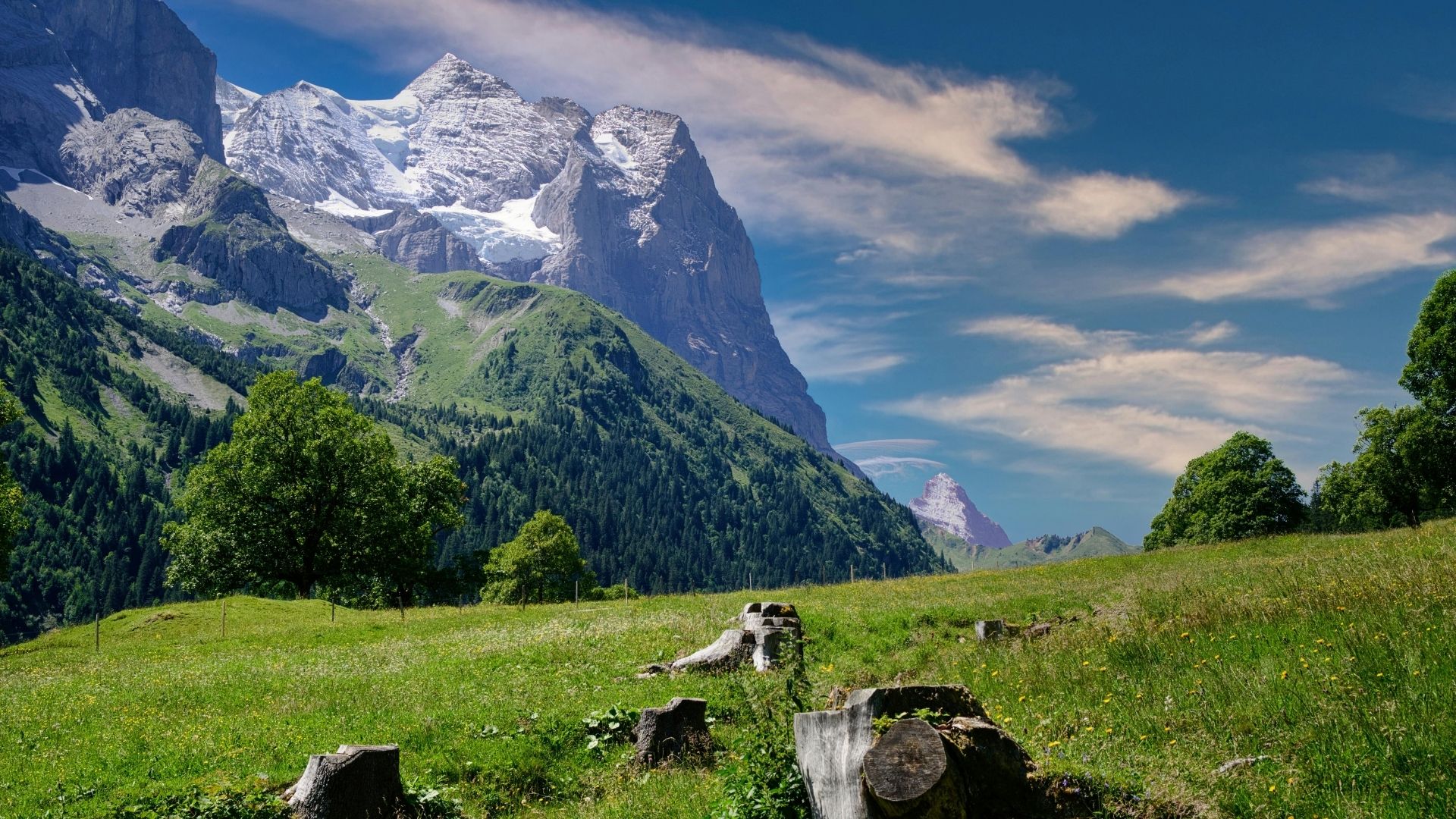 Suiza al completo